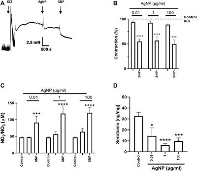 Physiological evaluation of PVP-coated AgNP in the rat small intestine: an ex vivo approach